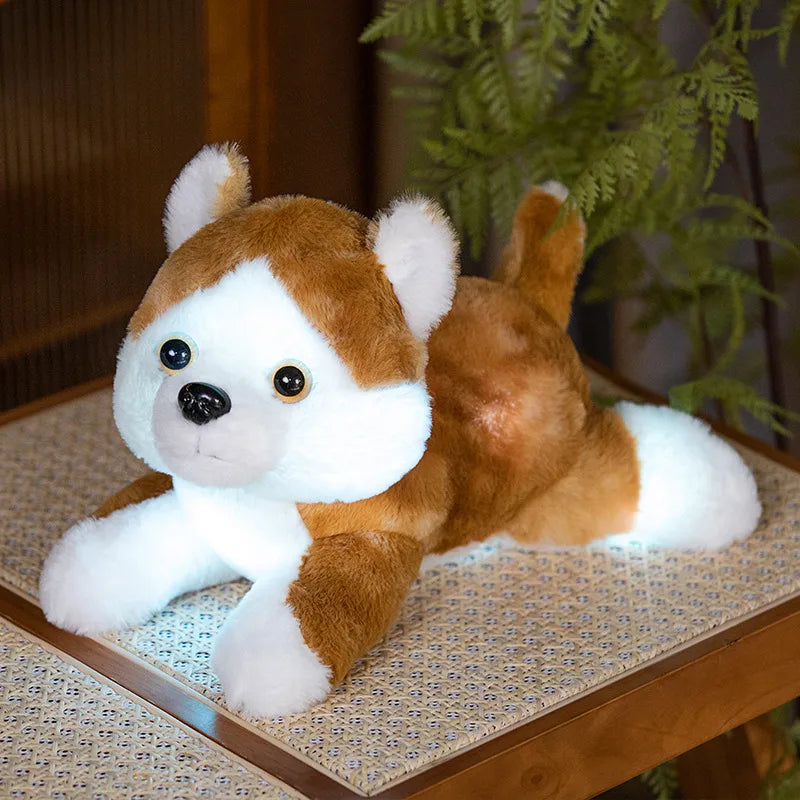 Veilleuse peluche chien — vue 5
